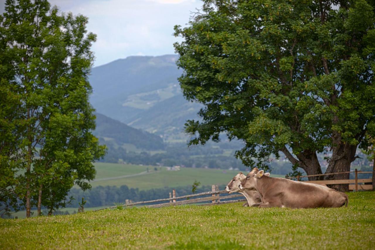 Moserhof Haus im Ennstal Exteriör bild